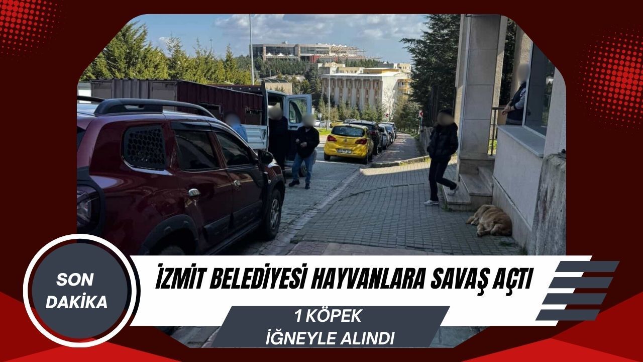 İzmit Belediyesi'nden Umuttepe Kampüsü'nde Toplama