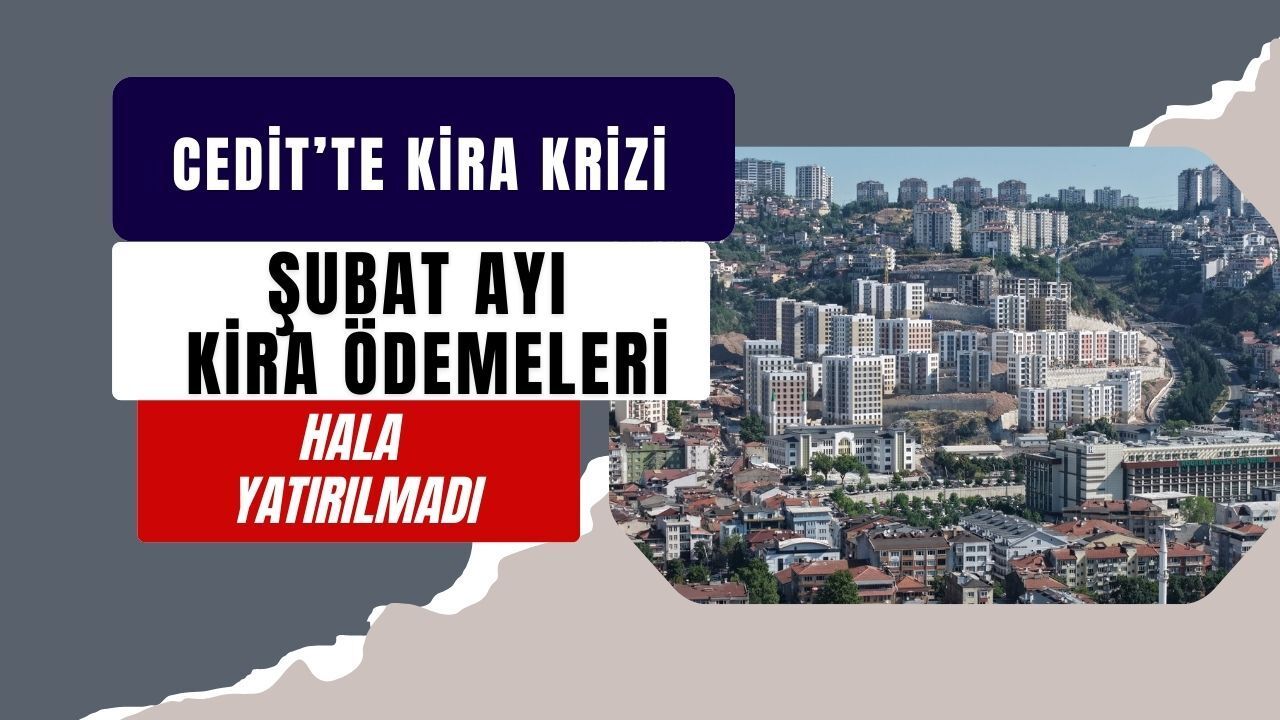 Cedit’te Kira Krizi: Şubat Ödemeleri Hesaplara Yatmadı