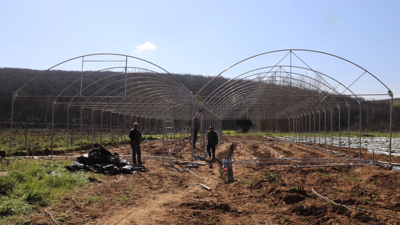 İzmit Belediyesi, Aşevine Modern Sebze Serası Kuruyor