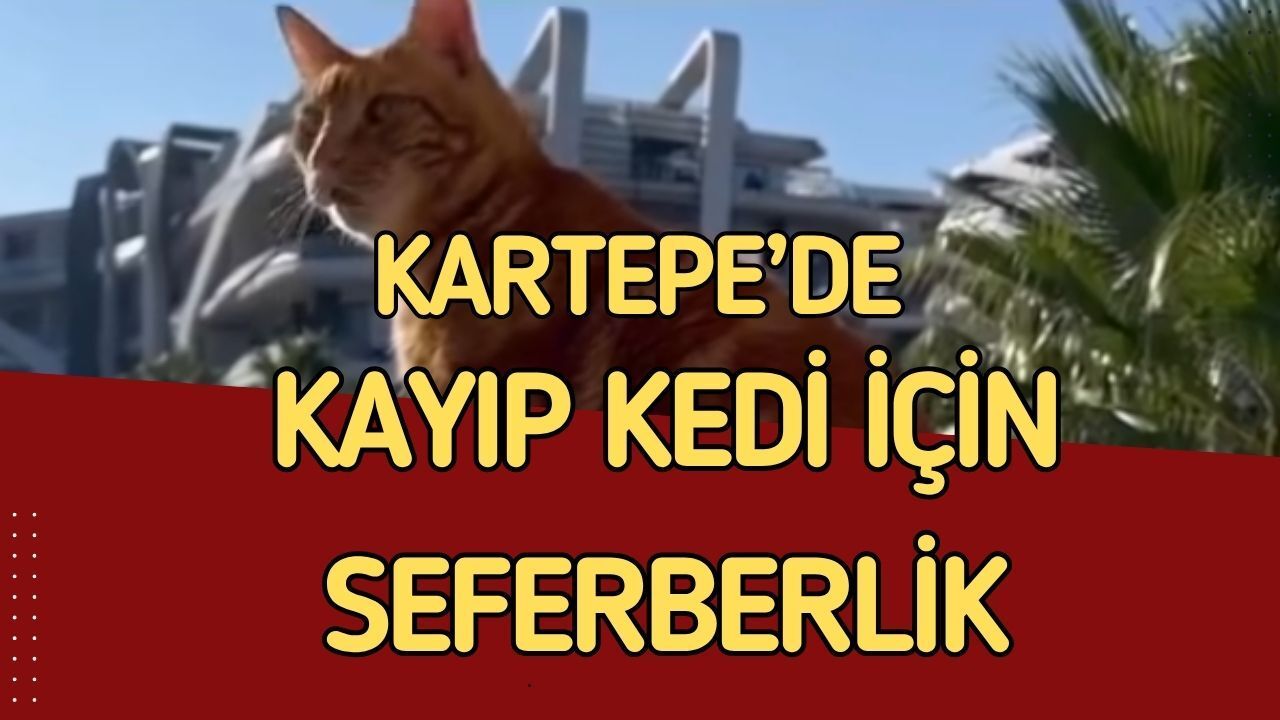 Kartepe'de Seferberlik: "Ket"i Bulana 10 Bin TL Nakit Ödül!