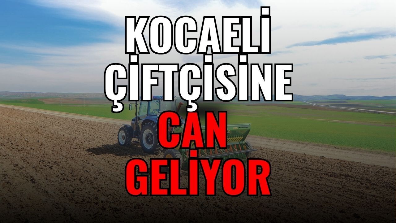 Çiftçiye Mart Müjdesi: 81 Milyar TL'lik Mazot Gübre Desteği Hesaplara Yatıyor