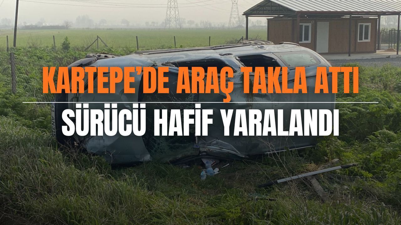 Kartepe'de Hafif Ticari Araç Tarlaya Uçtu: Sürücü Yaralandı
