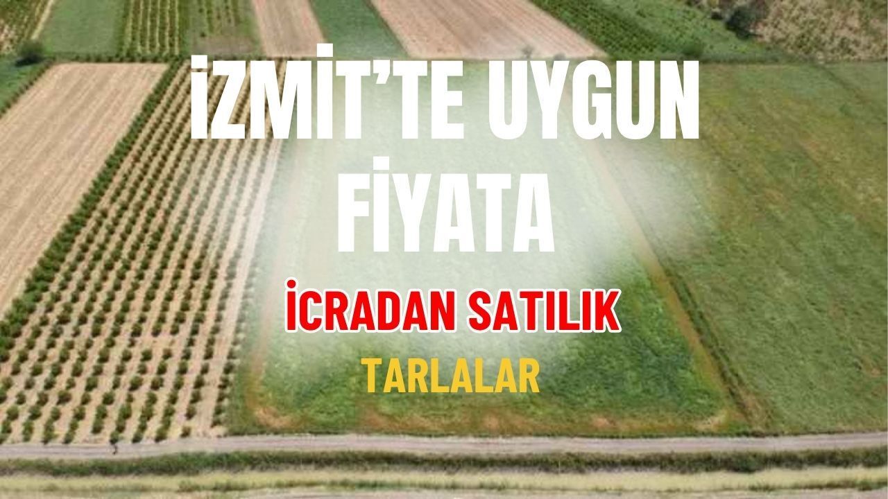 Emlak piyasasını sarsacak gelişme: İzmit’te icradan tarla satışları açıldı