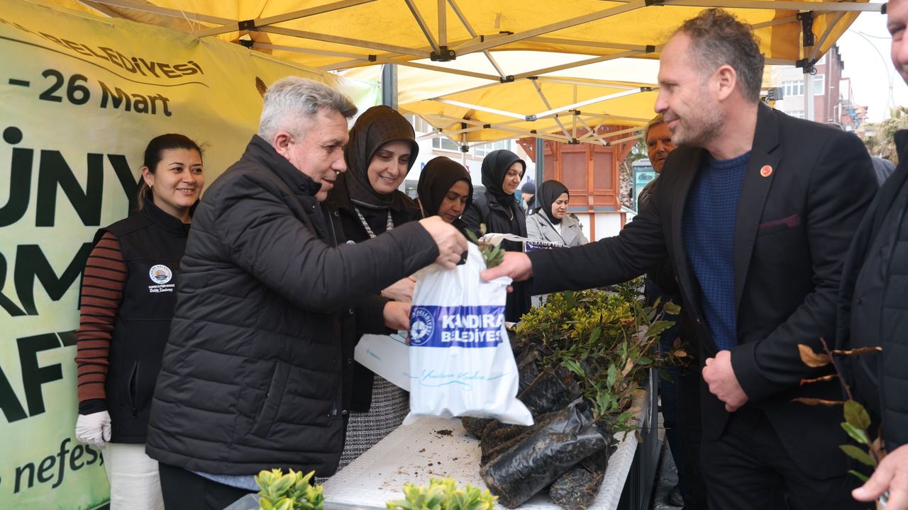Başkan Erol Ölmez’den "Yeşil Kandıra" Hamlesi: Ücretsiz Defne Fidanı Dağıtıldı