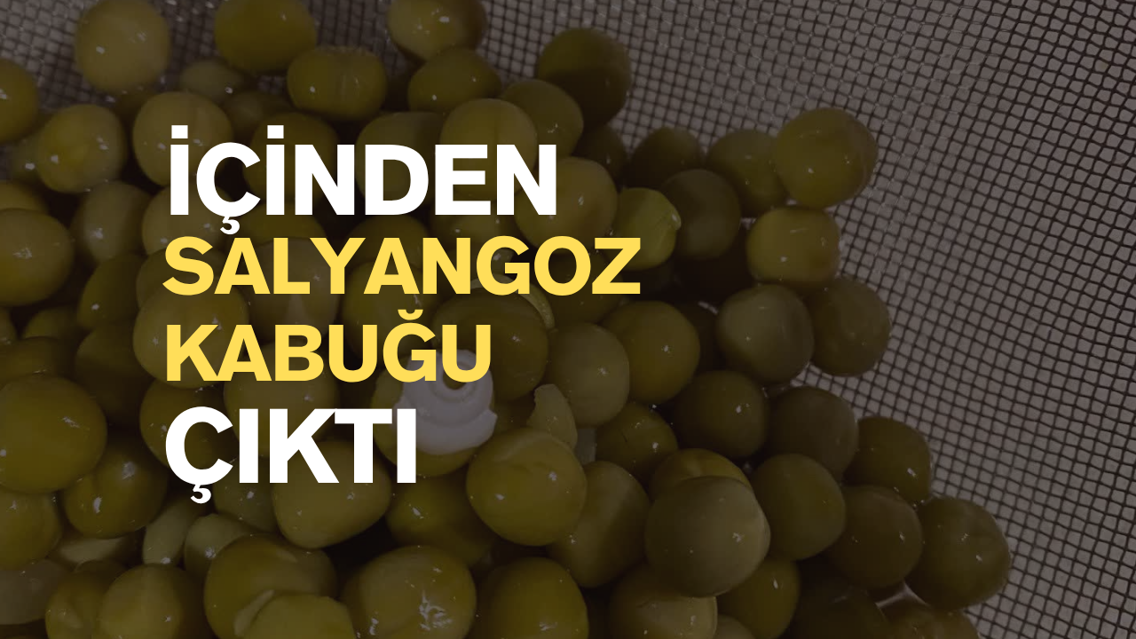 Konservenin içinden salyangoz kabuğu çıktı!