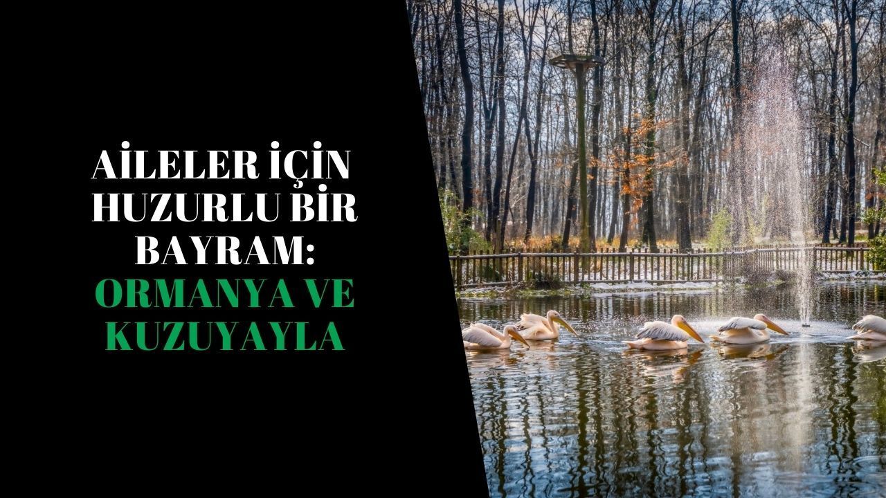 Aileler için huzurlu bir bayram: Ormanya ve Kuzuyayla
