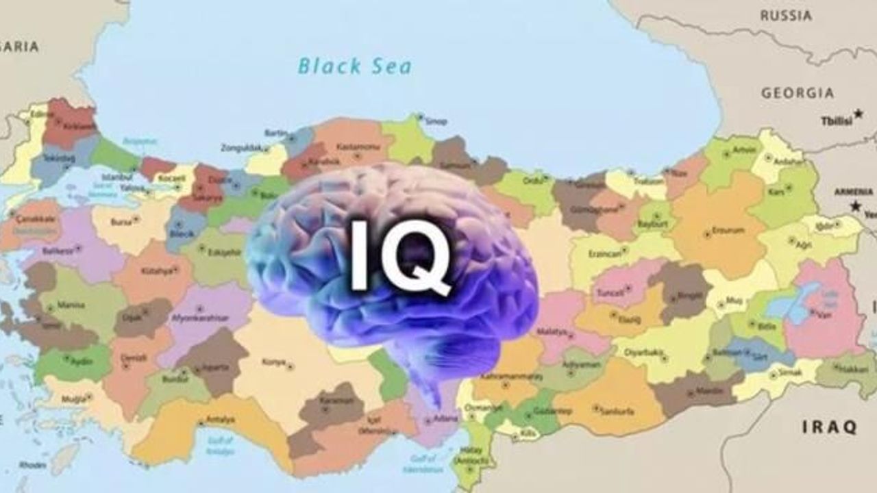 Türkiye'nin en zeki illeri: Kocaeli kaçıncı sırada?