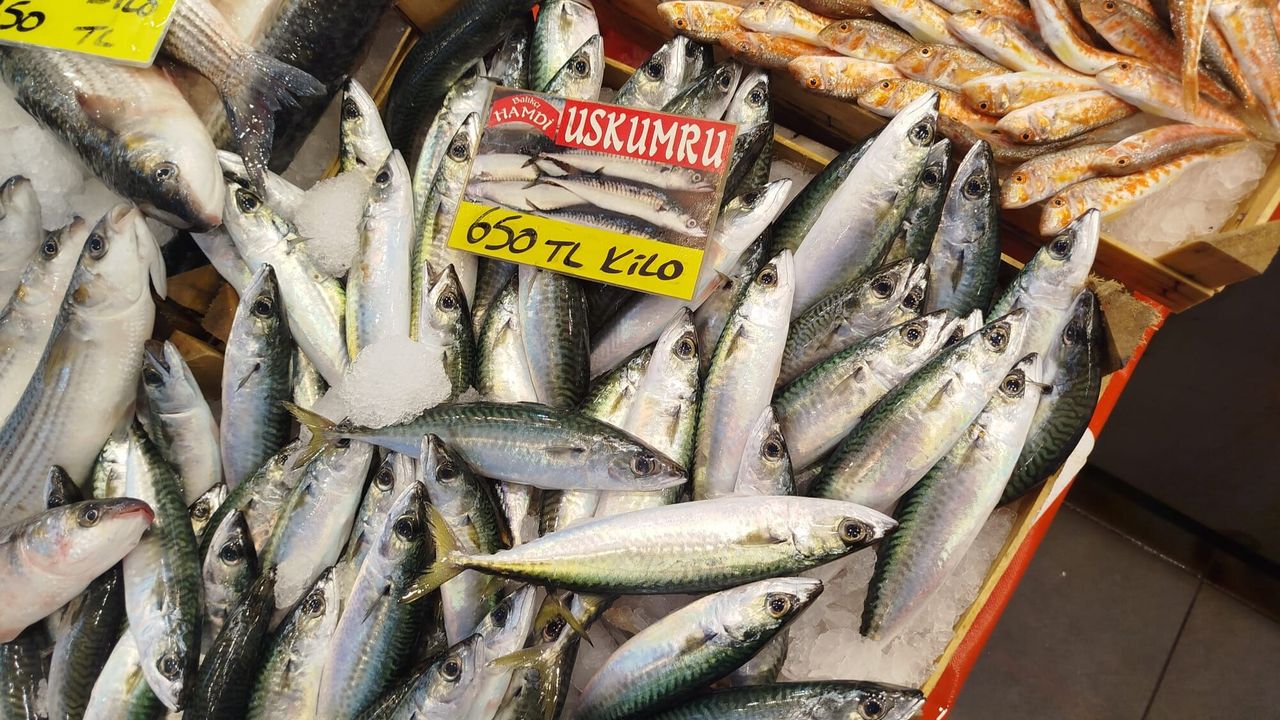 Balıkhan'da hamsi 350 TL oldu