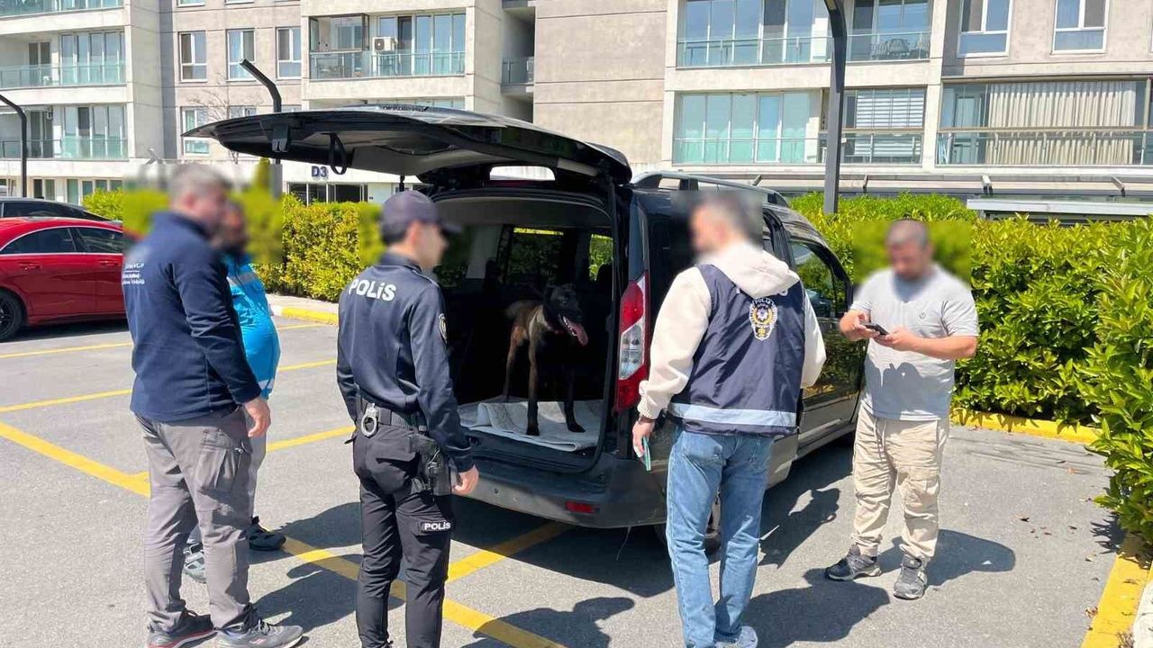 Avcılar'da köpeğe kötü muamelede bulunan şahıs yakalandı