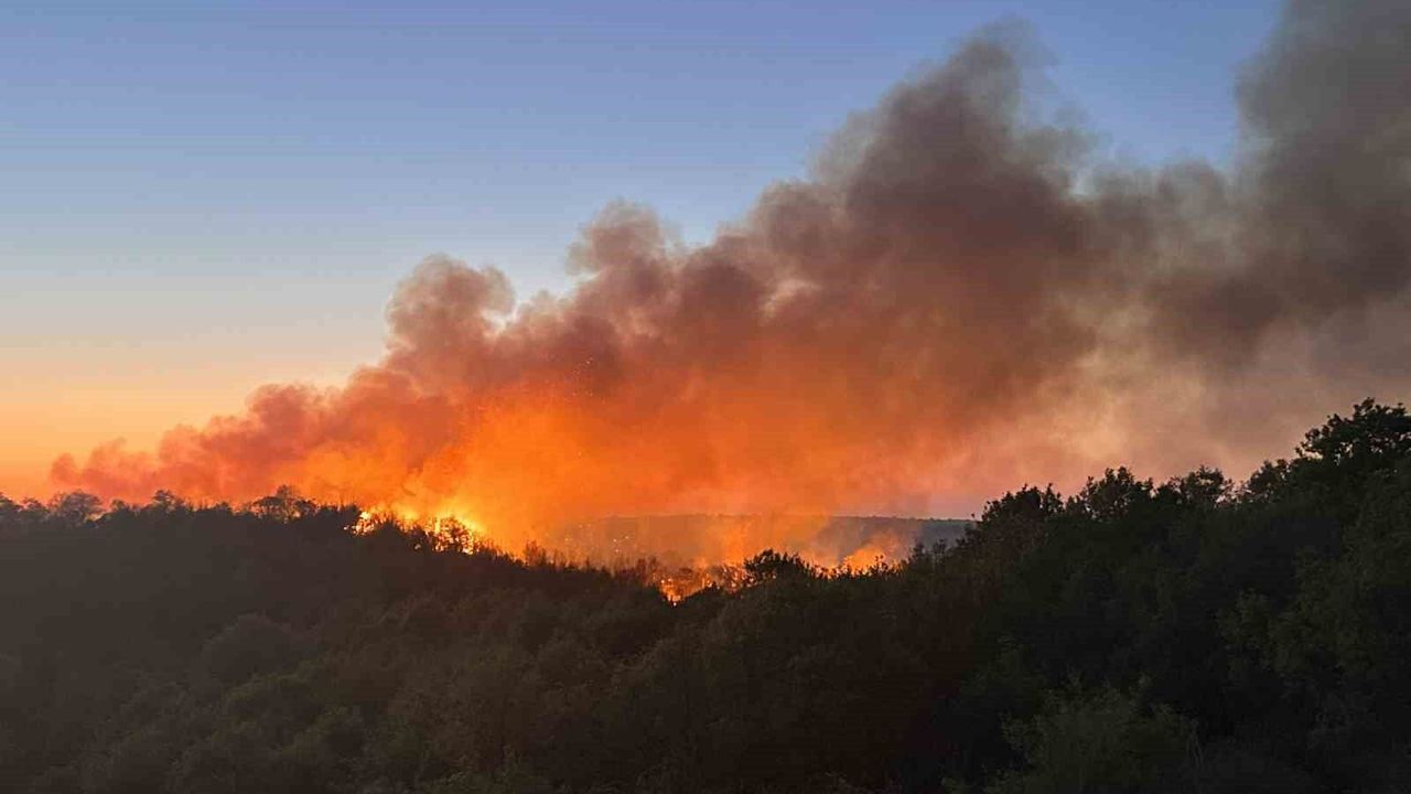 Beykoz'da 3 hektarlık alan küle döndü: Yangına müdahale devam ediyor