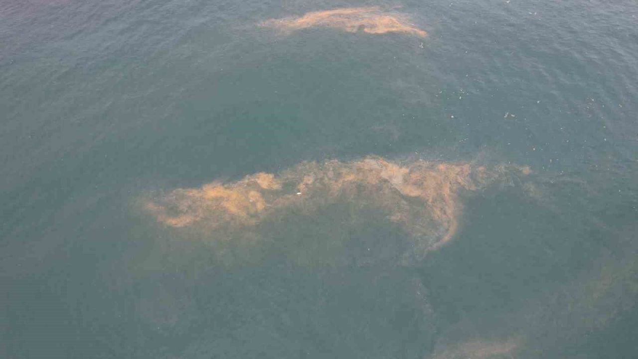 Marmara Denizi’nde Tedirgin Eden Görüntü: Avcılar Kıyılarında Kirlilik ve Renk Değişimi!