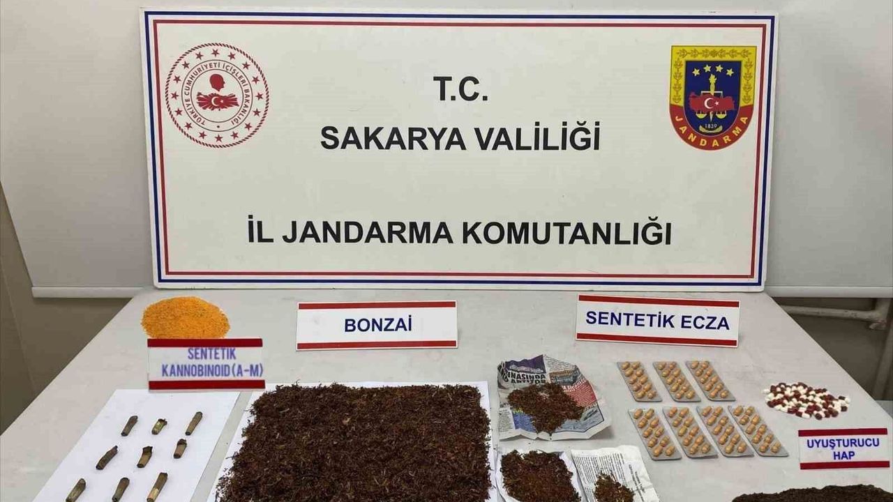 Sakarya'da jandarmadan zehir tacirlerine geçit yok: 2 tutuklama
