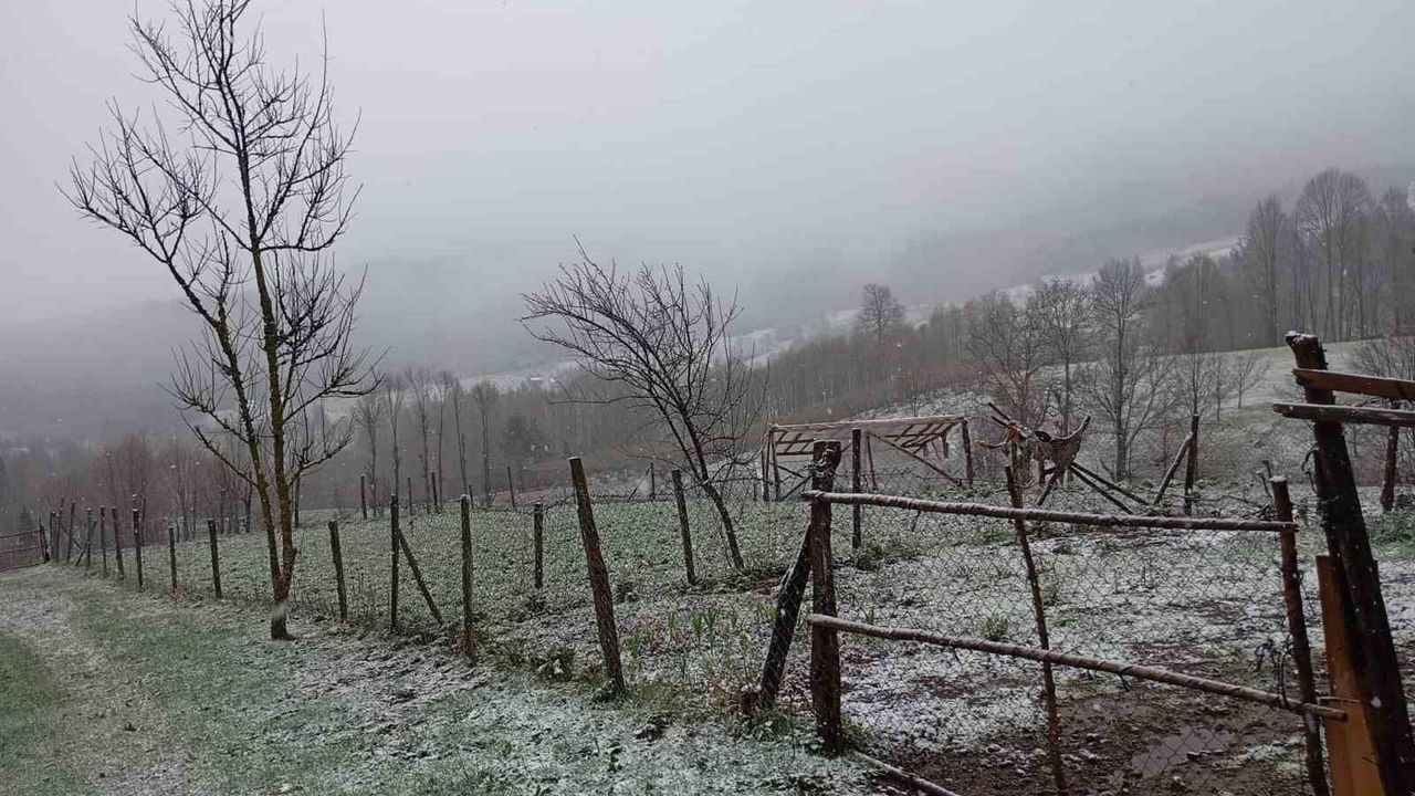Sakarya'nın yüksek kesimleri beyaza büründü
