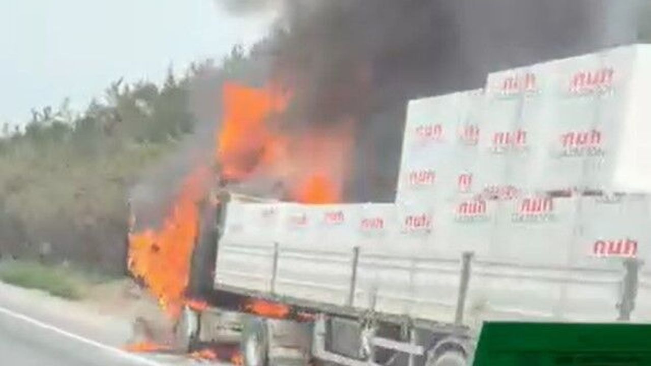 TEM Otoyolu Kocaeli geçişinde tır yangını söndürüldü