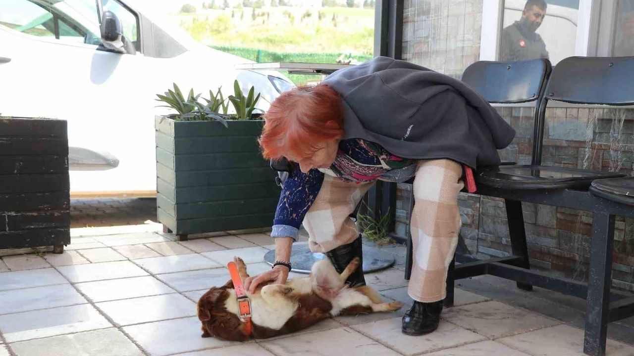 Yalova'da Cevriye teyze can dostu ile duygulandıran buluşma