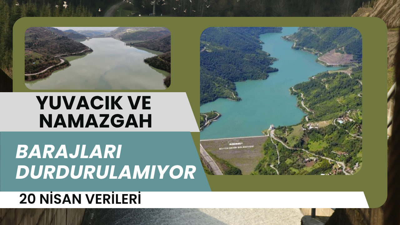 Barajlar Doldu Taştı! Kocaeli Bu Yıl Susuzluk Çekmeyecek!