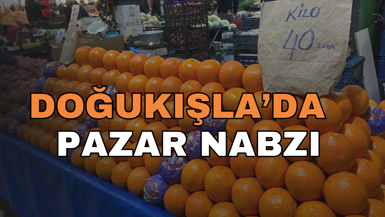 İzmit'te Pazarın Kalbi Doğu Kışla'da Son Fiyatlar Nasıl? Pazara Çıkmadan Fiyatlara Bakmayı Unutmayın!
