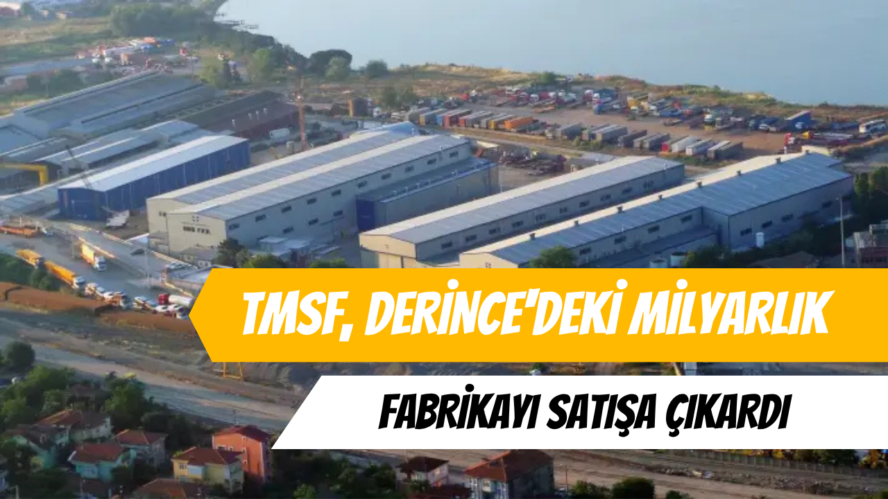 TMSF, Derince'deki Milyarlık Fabrikayı Satışa Çıkardı