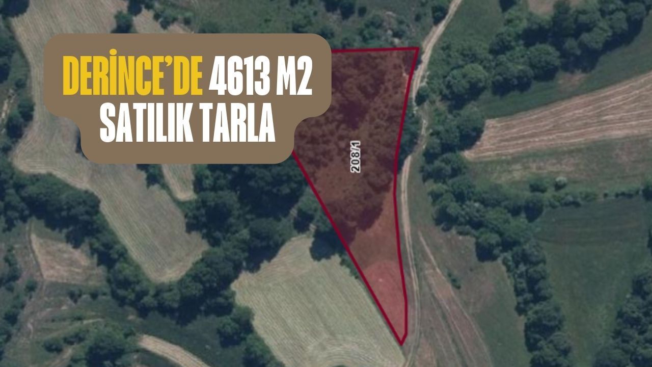 Derince’de 4.613 m² Tarla Satışta: Metrekaresi Bin TL’den İcradan Fırsat