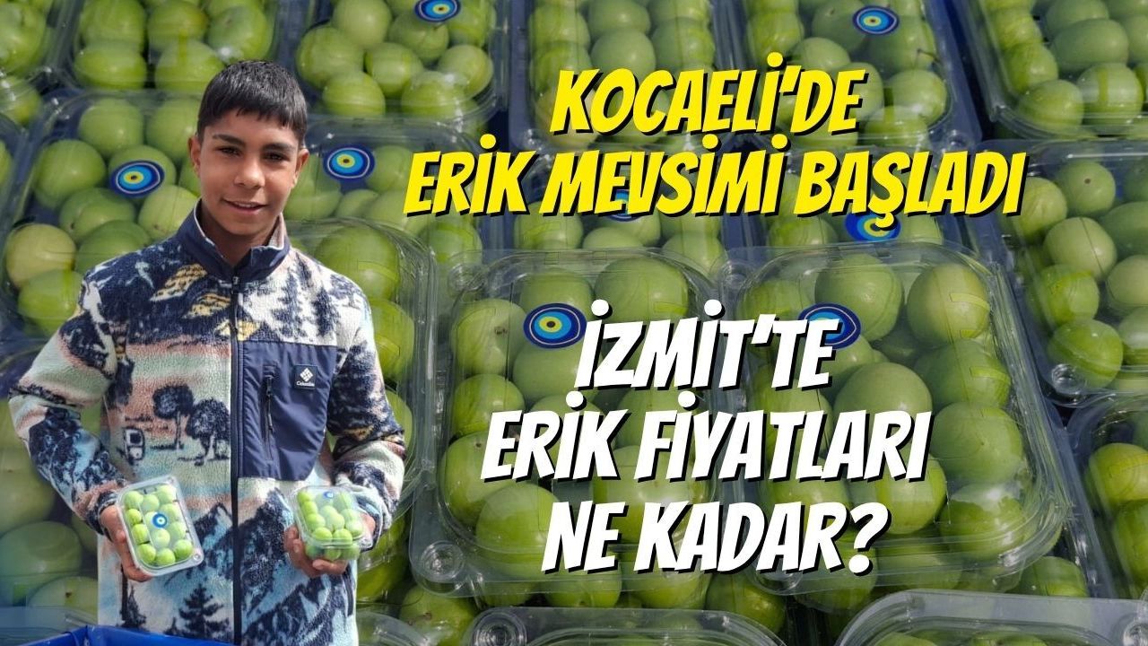 Kocaeli’de Erik Mevsimi Başladı: İzmit’te Erik Fiyatları Ne Kadar?