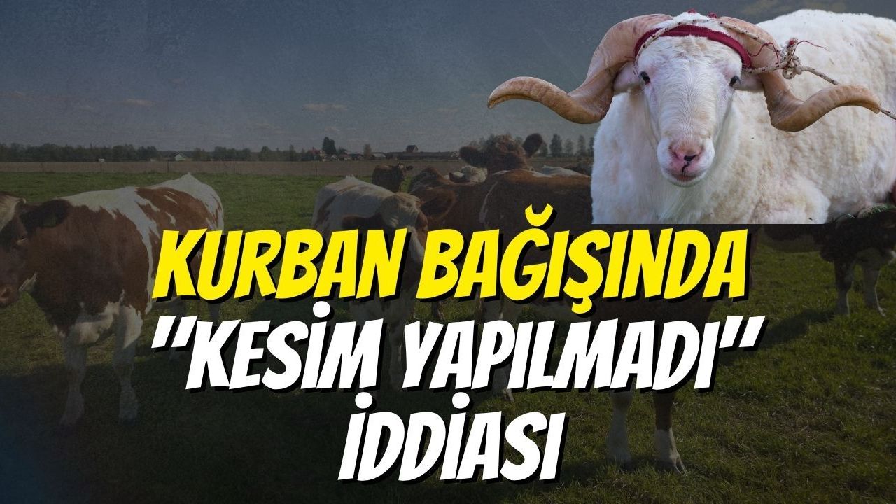 Kurban Bağışında "Kesim Yapılmadı" İddiası