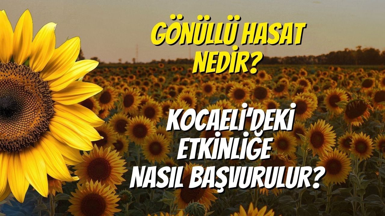Gönüllü Hasat Nedir? Kocaeli’deki Etkinliğe Nasıl Başvurulur?