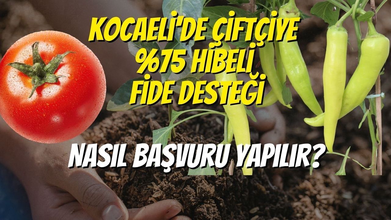 Kocaeli'de Çiftçiye %75 Hibeli Fide Desteği: Nasıl Başvuru Yapılır?