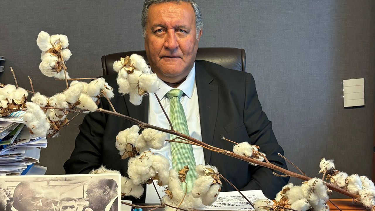 Pamuk Üretiminde Tehlike Çanları: “Ürettiğimiz Kadar İthal Ediyoruz!”