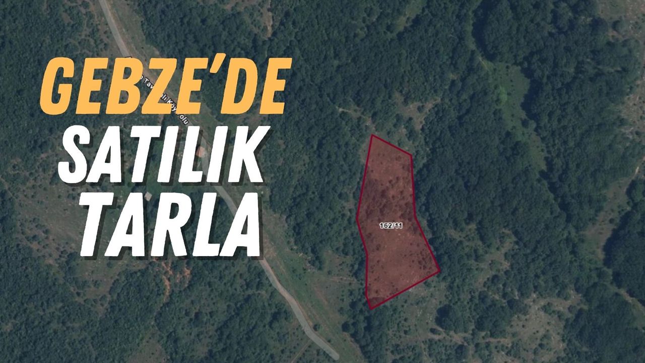 Gebze Akviran’da Satılık Tarla: İcradan 7 Milyon TL’ye Dev Arazi Fırsatı