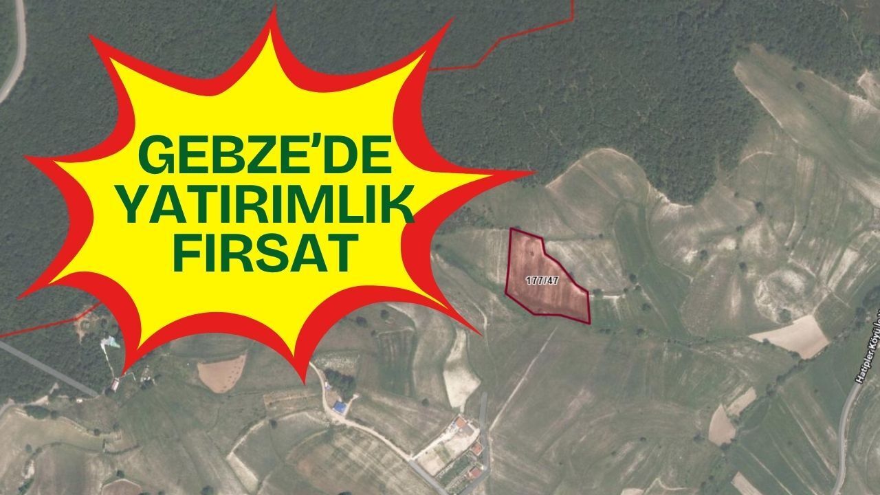 Gebze Hatipler’de Yatırımlık Fırsat: İcradan Satılık İki Dev Arazi!
