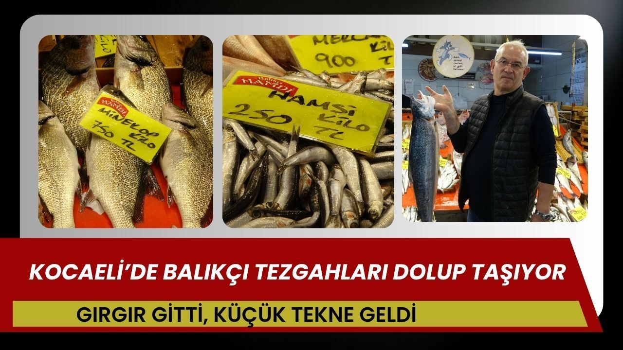 Kocaeli’de Balıkçı Tezgahları Dolup Taşıyor: "Gırgır Gitti, Küçük Tekne Geldi"