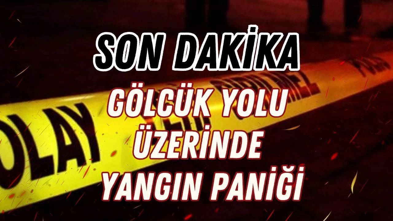 Son Dakika: Gölcük Yolu Üzerinde Korkutan Yangın