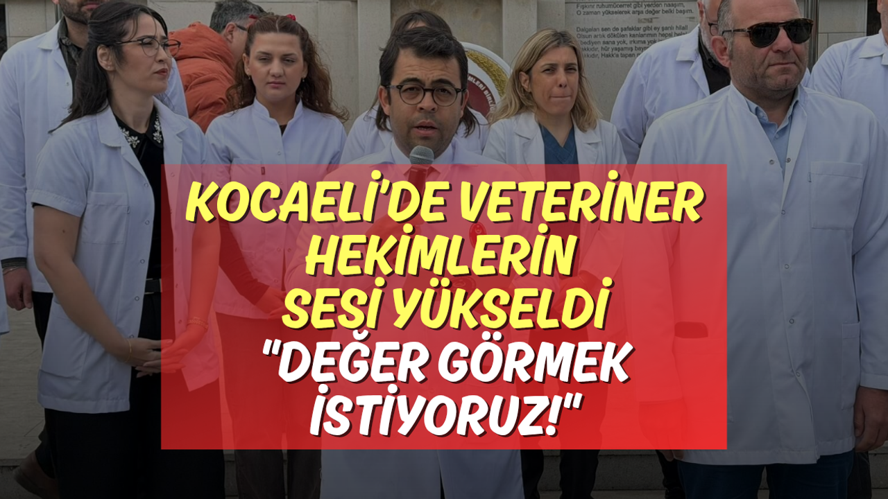Kocaeli’de Veteriner Hekimlerin Sesi Yükseldi: Değer Görmek İstiyoruz!
