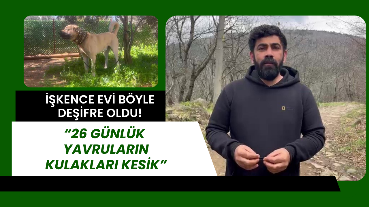 Kocaeli’den Antalya’ya Uzanan Adalet Mücadelesi: İbrahim Kaya Merdiven Altı Üretimi Deşifre Etti!
