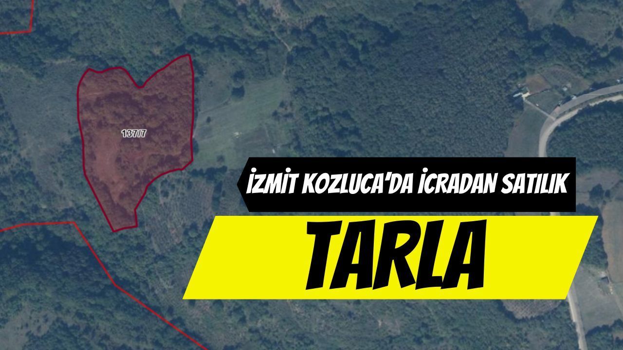 Kozluca’da Dev Yatırım Alanı: İcra Yoluyla Satılacak Taşınmazın Detayları Belli Oldu