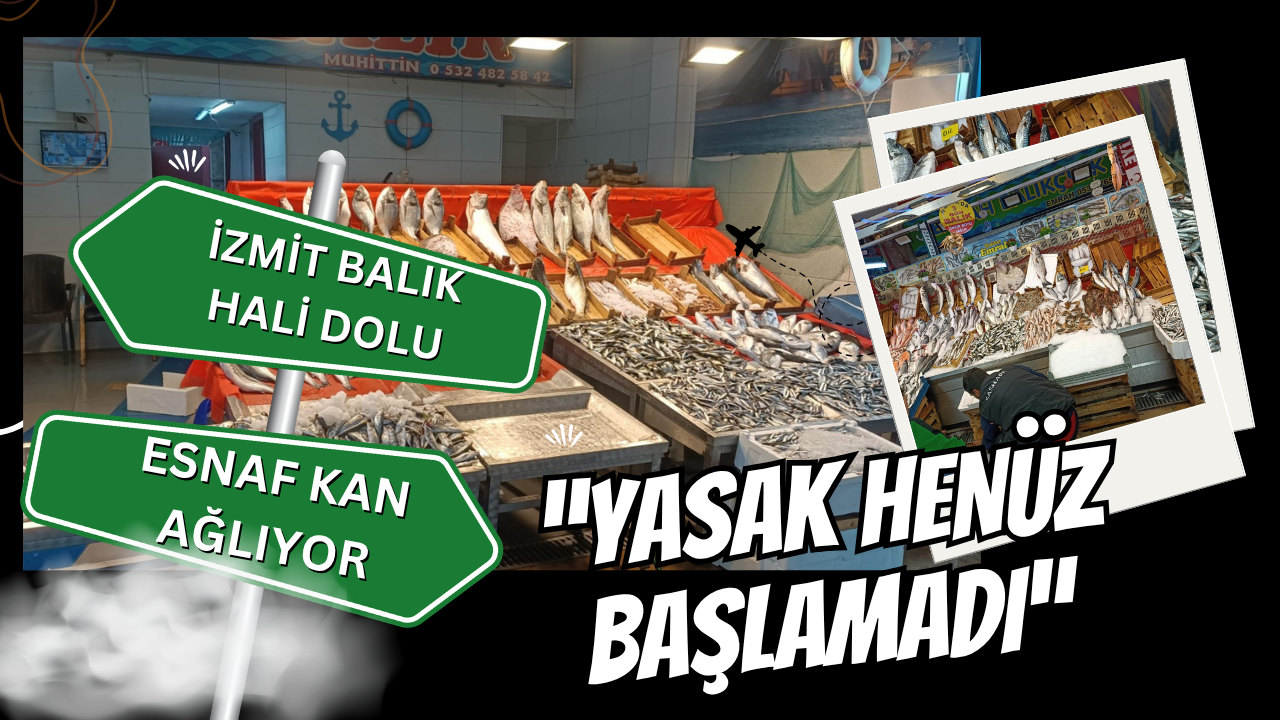 İzmit Balık Hali'nde Yasak Bilmecesi: Vatandaş Yanlış Biliyor, Esnaf Kan Ağlıyor!