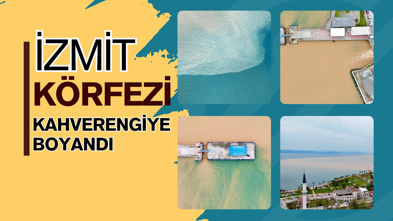 Körfez’de Deniz İkiye Bölündü! Mavi ve Kahverenginin Keskin Buluşması