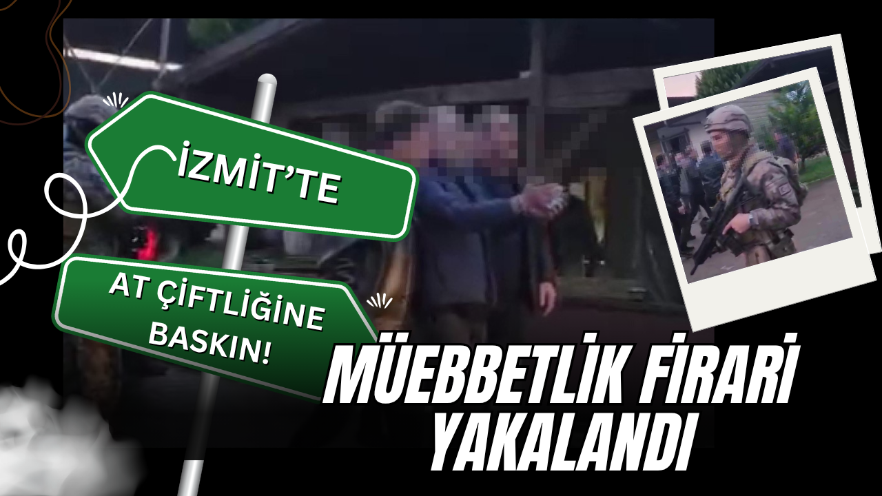 İzmit'te At Çiftliğine Özel Harekat Baskını