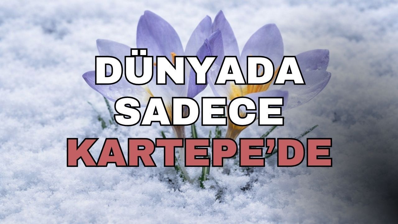 Dünyada Sadece Kartepe’de