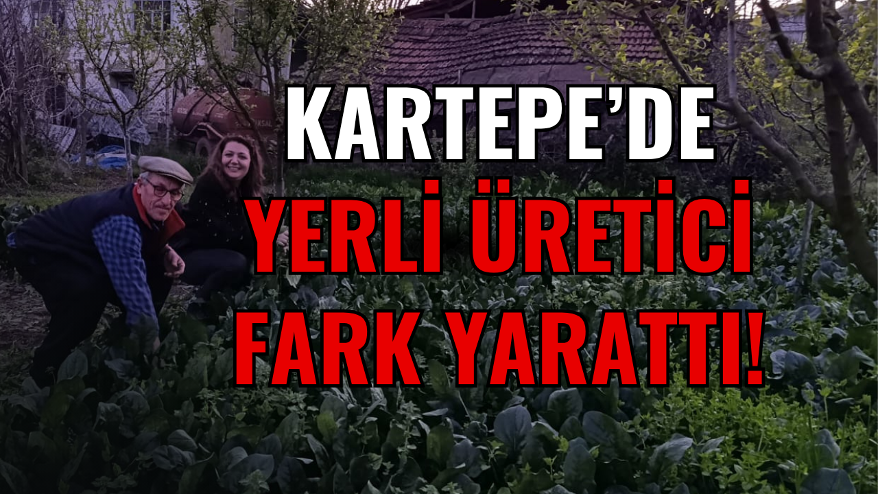 Pazarın Yarı Fiyatına Ispanak! Kartepe’de Yerli Üretici Fark Yarattıyor