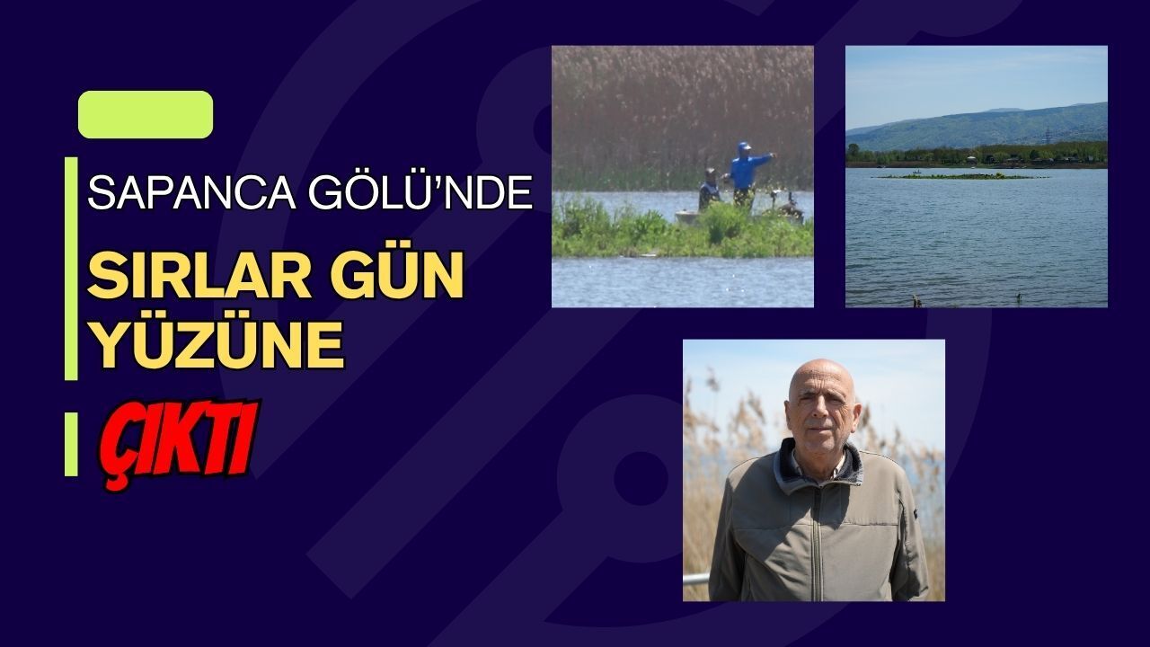Sapanca Gölü’nde Sırlar Gün Yüzüne Çıktı: Sular Çekildi, Gizemli "Ada" Yeniden Belirdi
