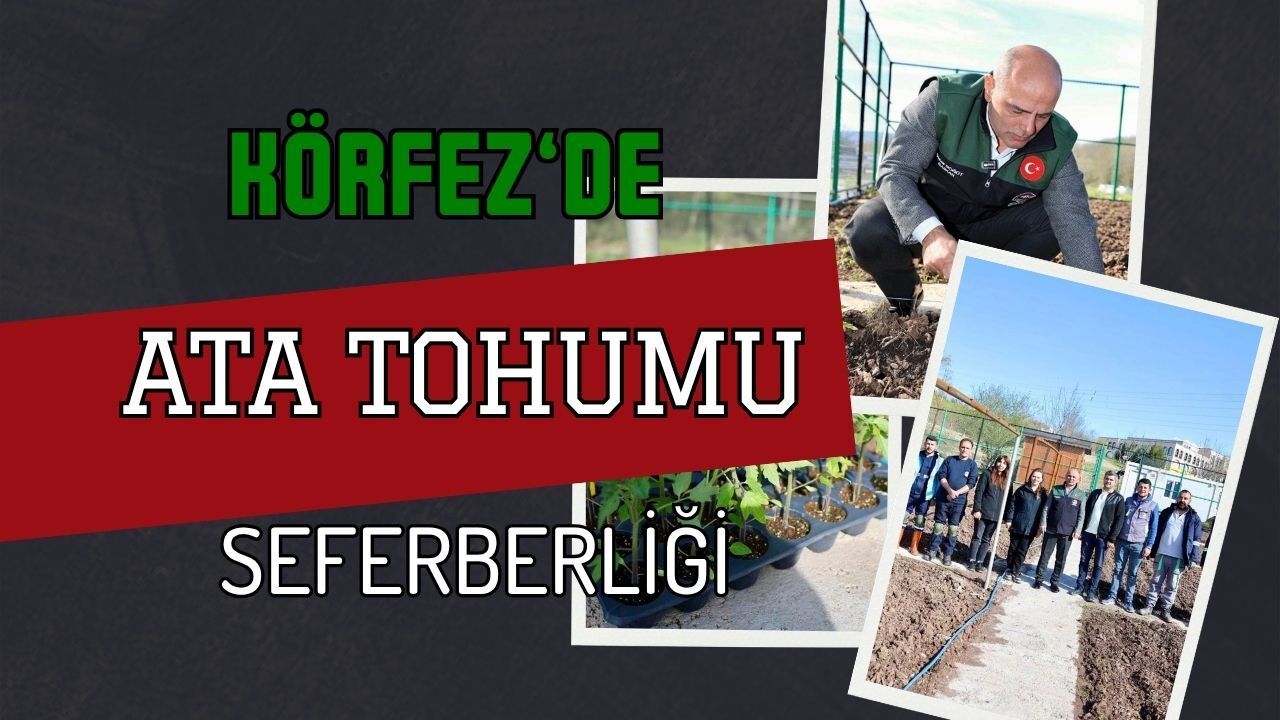 Körfez’de Ata Tohumu Seferberliği: İlimtepe’de Geçmiş Gelecekle Buluşuyor