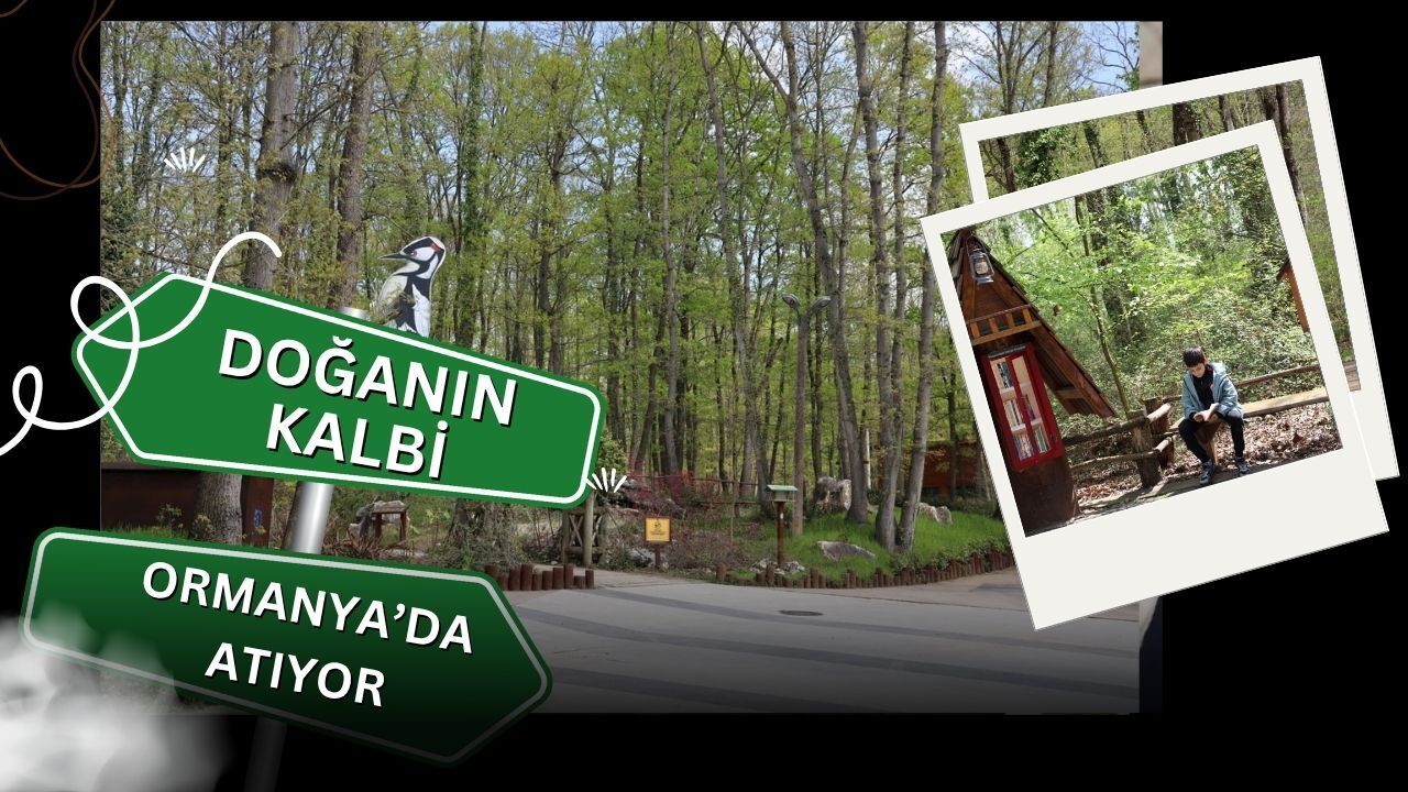 Doğanın Kalbi Kartepe Ormanya’da Atıyor: Bahar Geldi, Ekosistem Canlandı