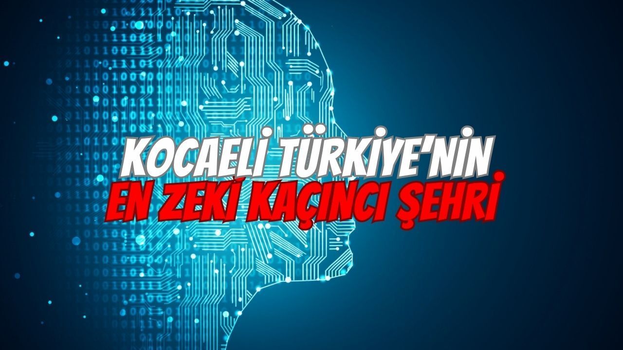 Kocaeli Türkiye’nin En Zeki Kaçıncı Şehri? İşte IQ Testi Sonuçları
