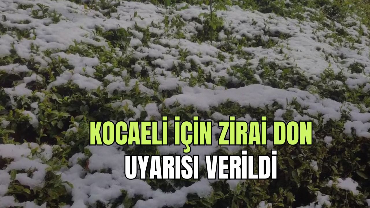 Kocaeli'de Zirai Don Uyarısı Verildi