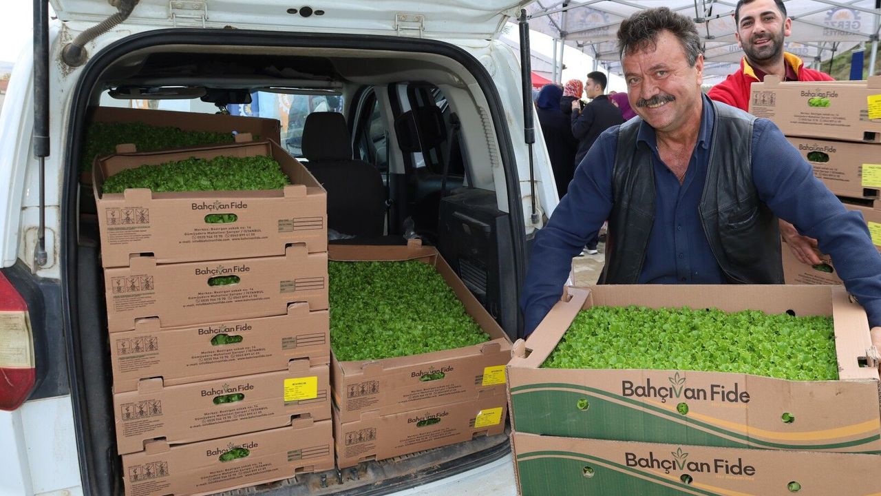 Kocaeli’de Çiftçilere Sebze Fidesi Desteği Başladı