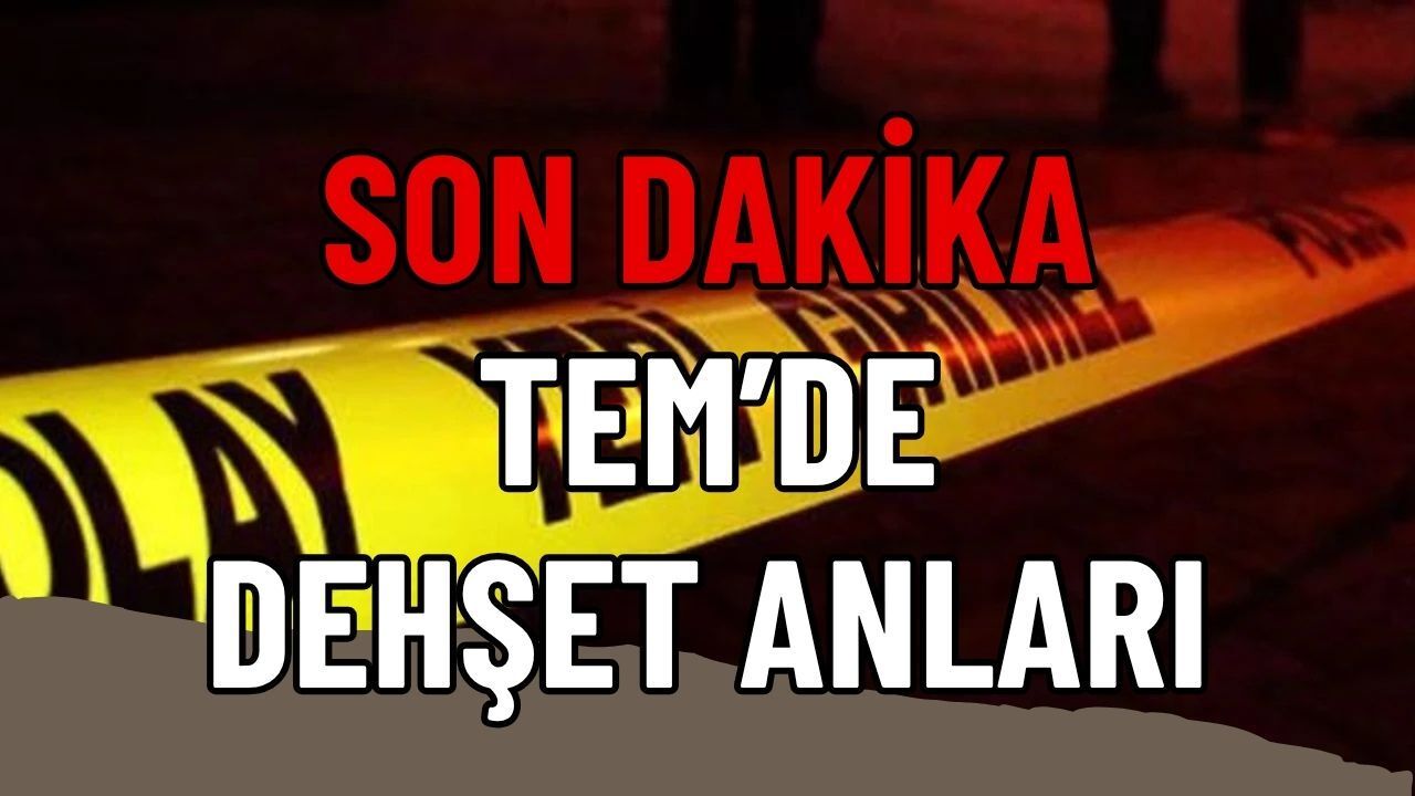 TEM Otoyolu'nda Korkunç Kaza: Otomobil Tabelaya Ok Gibi Saplandı