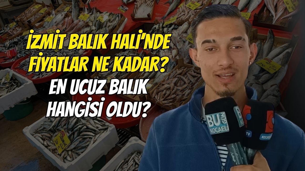 İzmit Balık Hali’nde Fiyatlar Ne Kadar? En Ucuz Balık Hangisi Oldu?