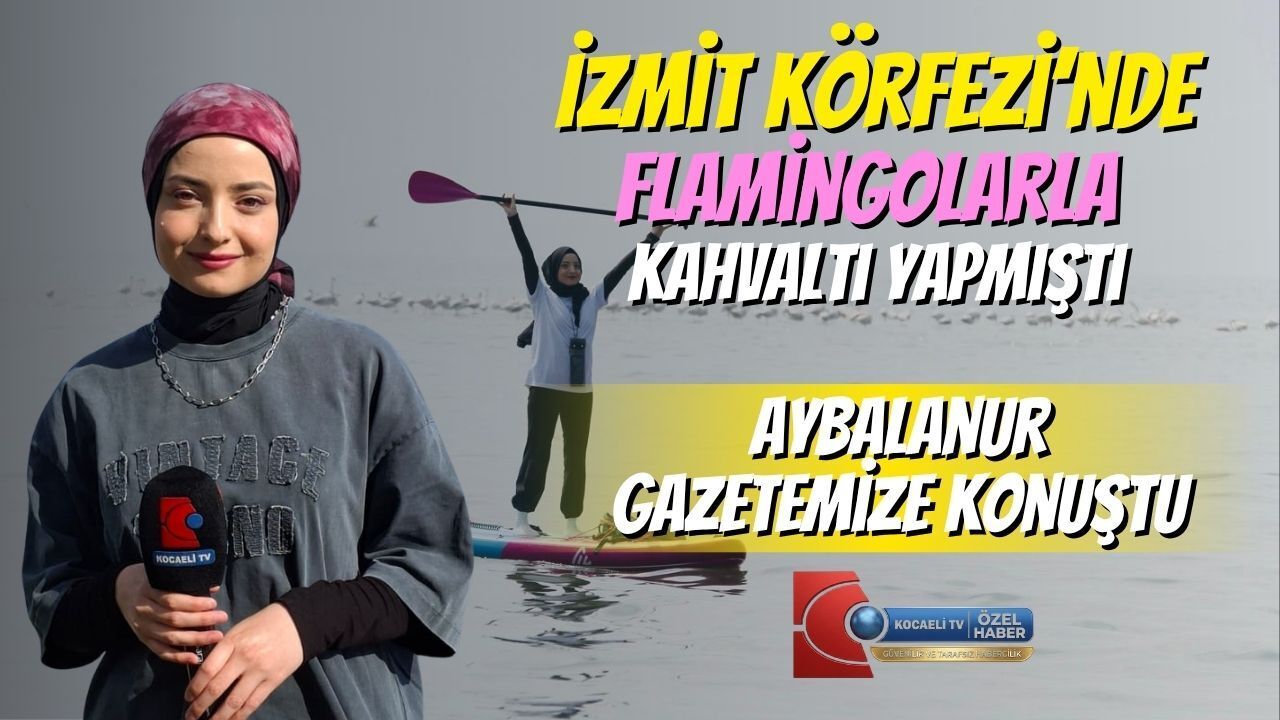 İzmit Körfezi’nde Flamingolarla Kahvaltı Yapmıştı, Aybalanur Gazetemize Konuştu
