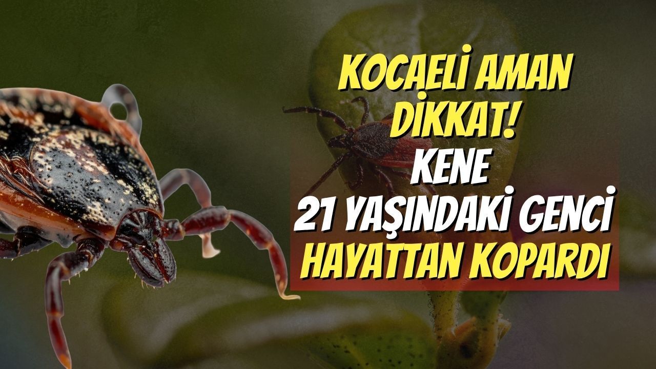 Kocaeli Aman Dikkat! Kene 21 Yaşındaki Genci Hayattan Kopardı